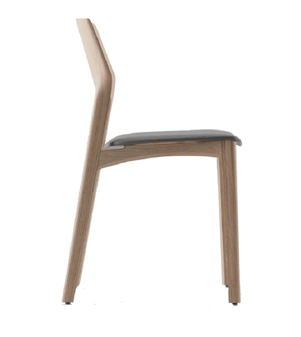 Silla Fin - Artisan
