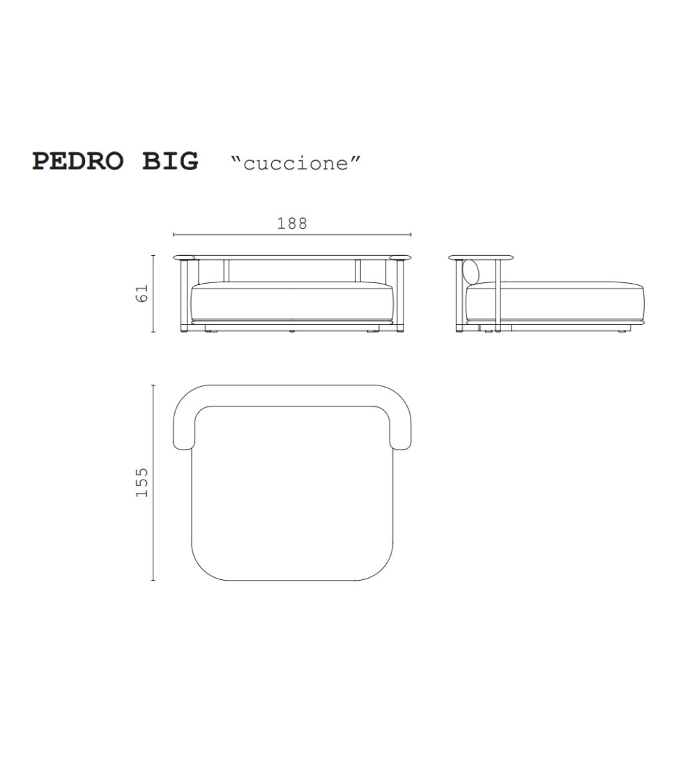 CPRN HOMOOD - Pedro Meridienne