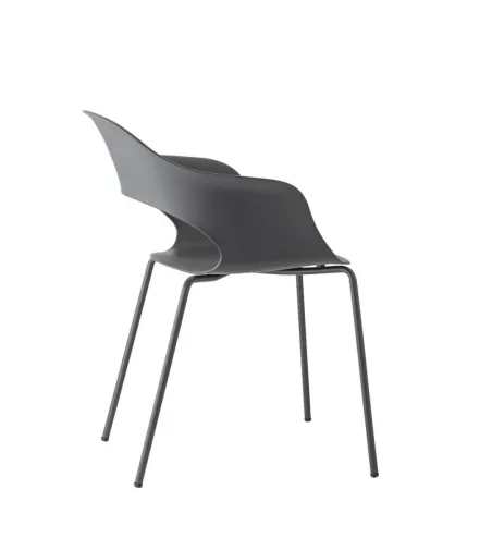 Lot 2 Chaises Lady B - SCAB