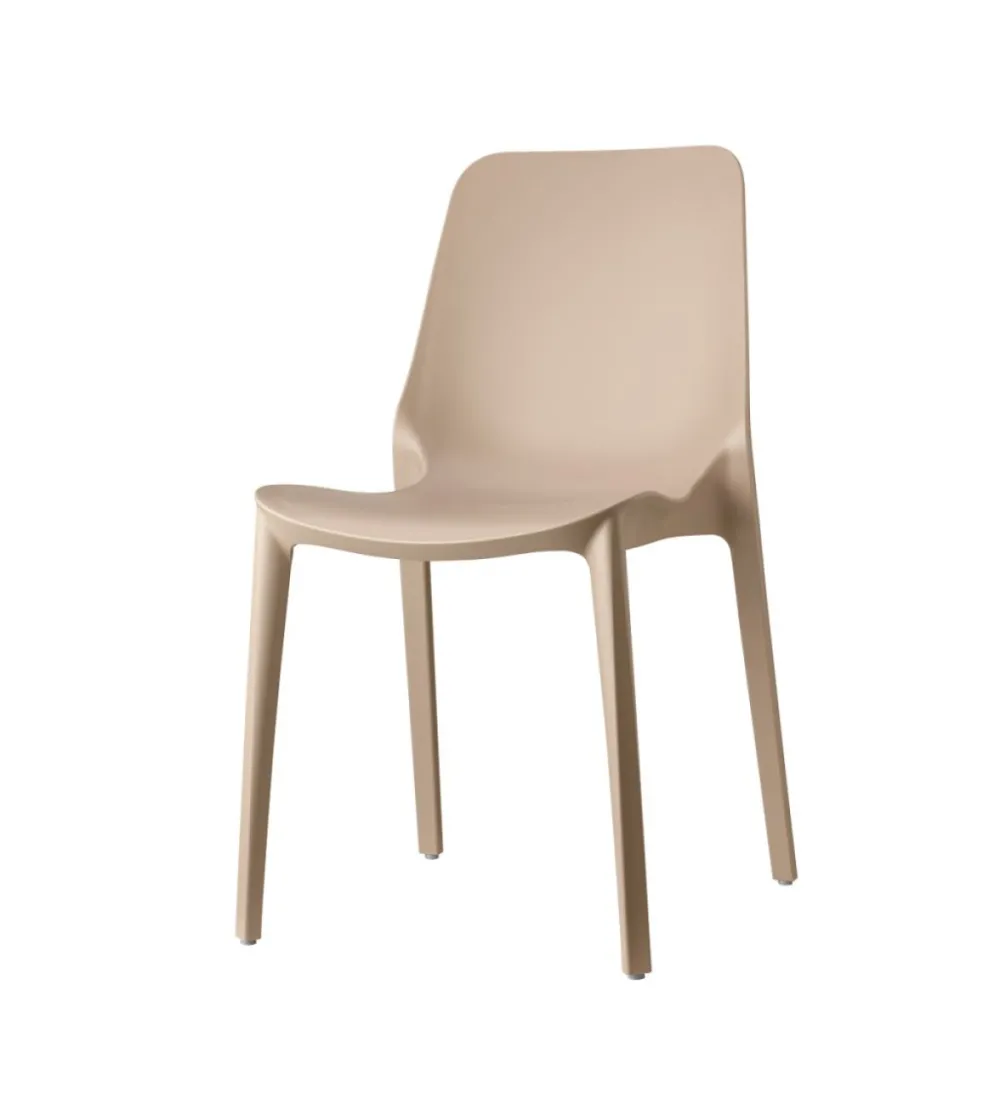 Lot 6 Chaises Ginevra Go Green - SCAB