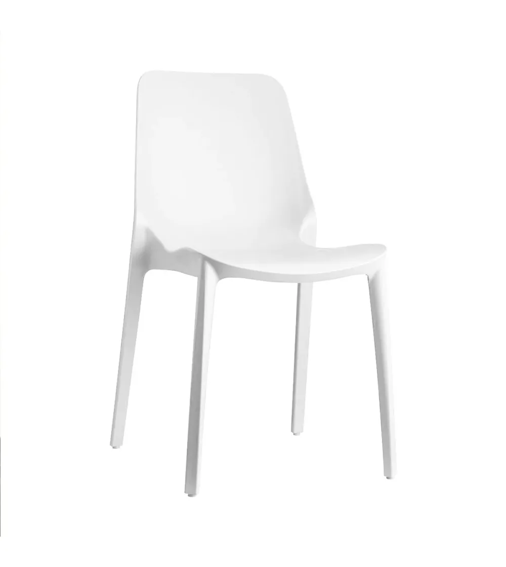 Lot 6 Chaises Ginevra - SCAB