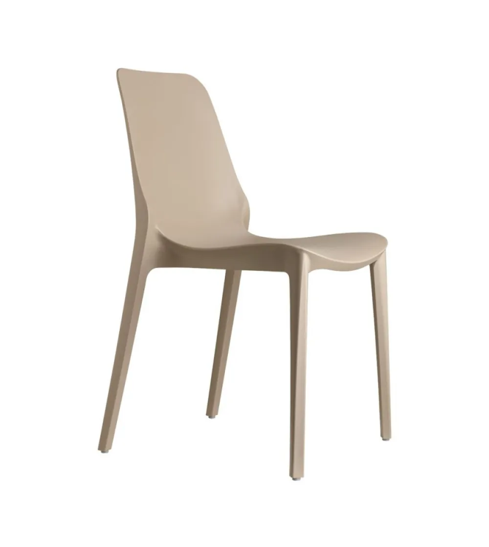 Lot 6 Chaises Ginevra - SCAB