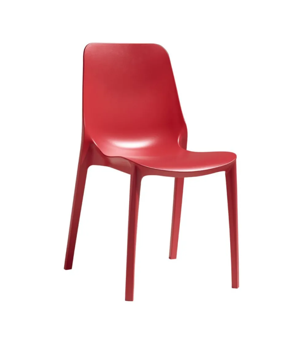 Lot 6 Chaises Ginevra - SCAB