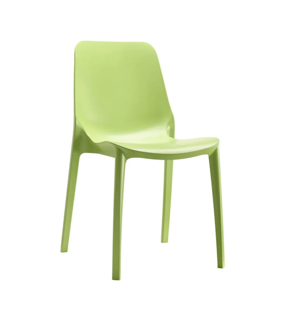 Lot 6 Chaises Ginevra - SCAB