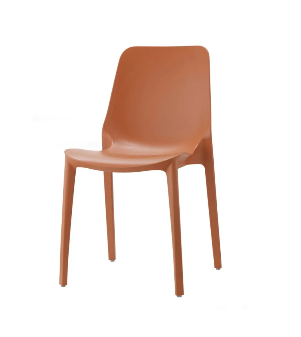 Lot 6 Chaises Ginevra - SCAB