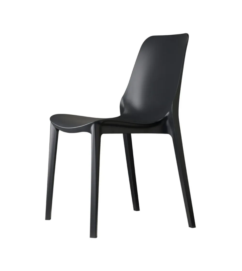 Lot 6 Chaises Ginevra - SCAB