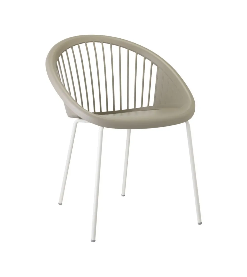 Lot 4 Chaises Giulia - SCAB