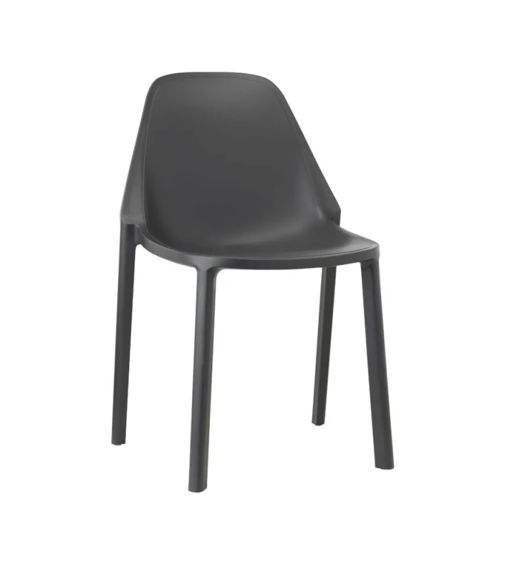 SCAB - Set 6 Più Chairs