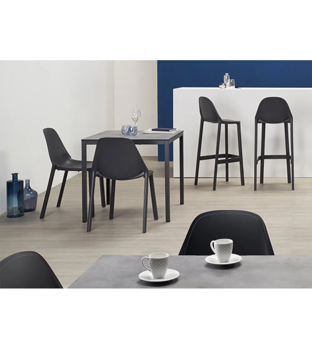SCAB - Set 6 Più Chairs