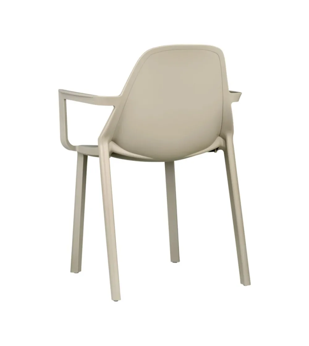 Lot 4 Chaises Più avec Accoudoirs - SCAB