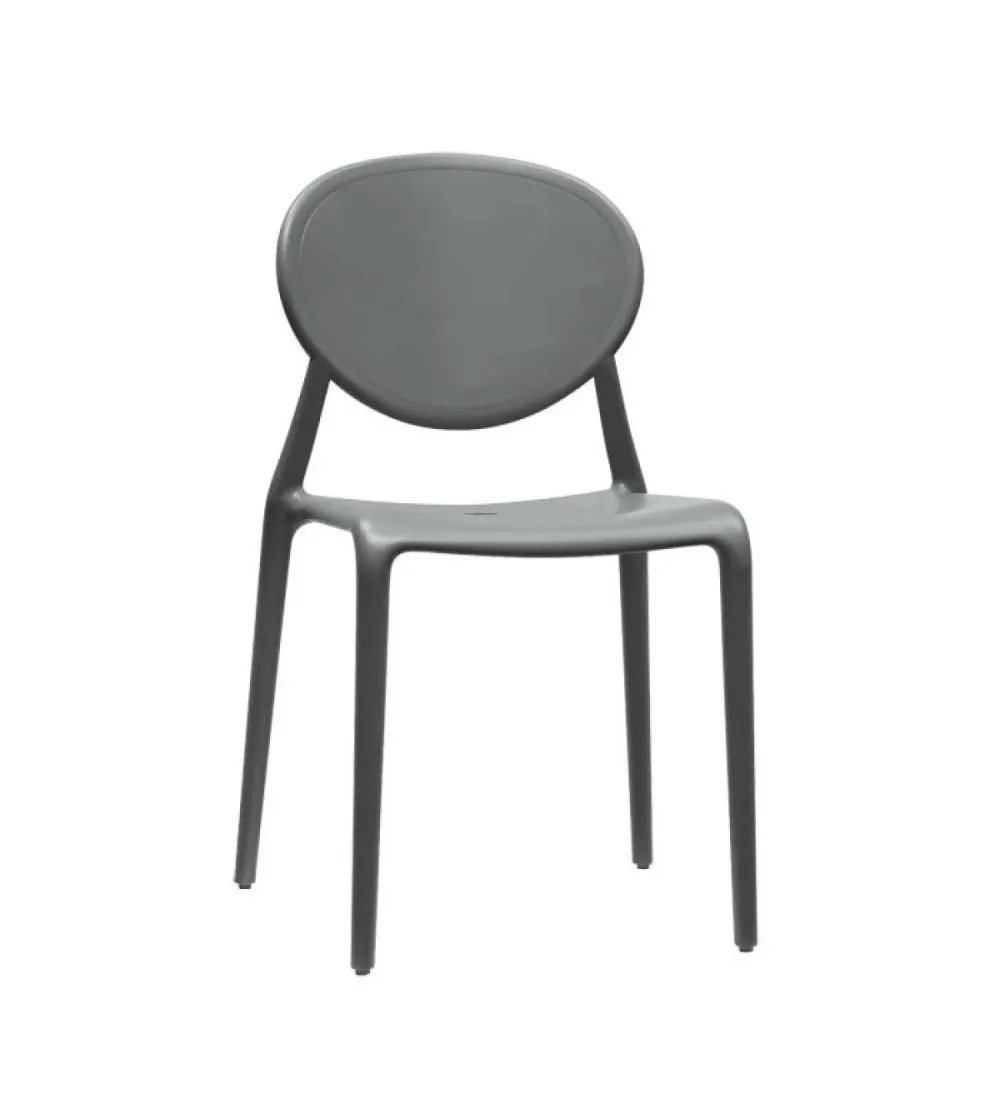 Lot 6 Chaises Gio - SCAB