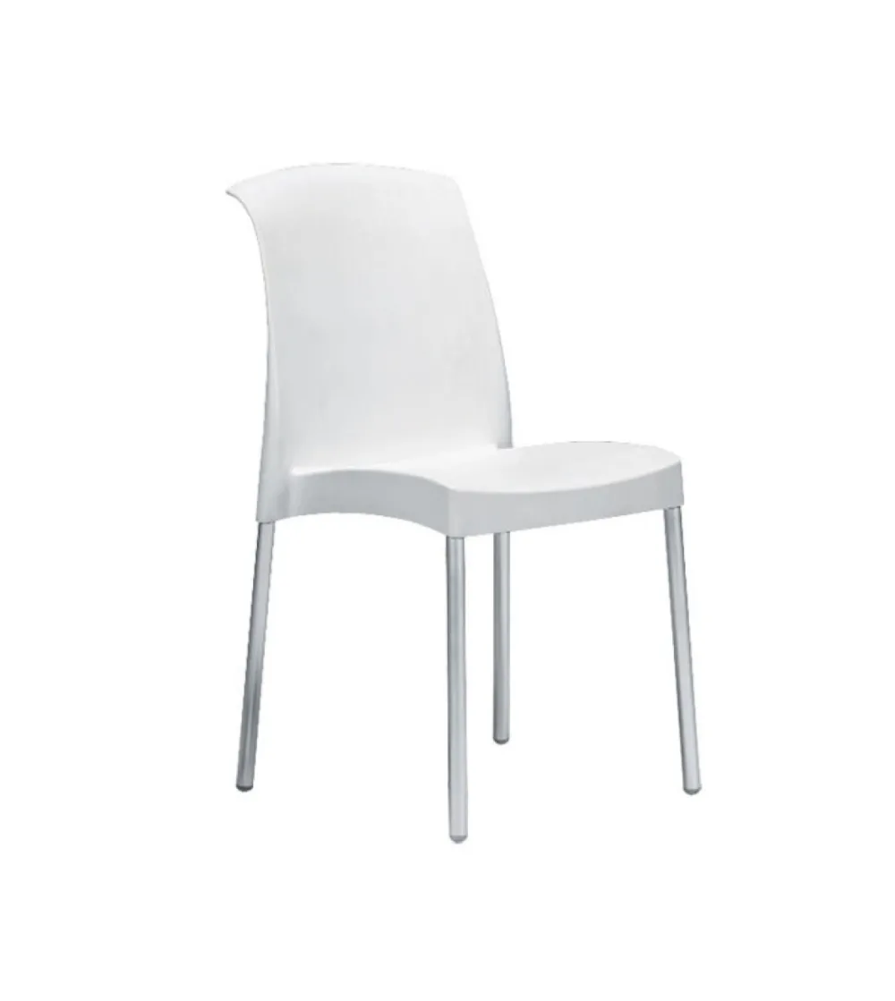 Lot 6 Chaises Jenny - SCAB