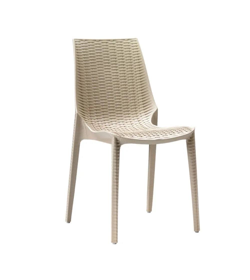 SCAB - Set 6 Lucrezia Chairs