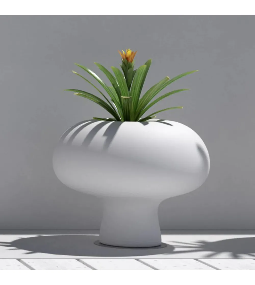 Plust - Boyo Vase