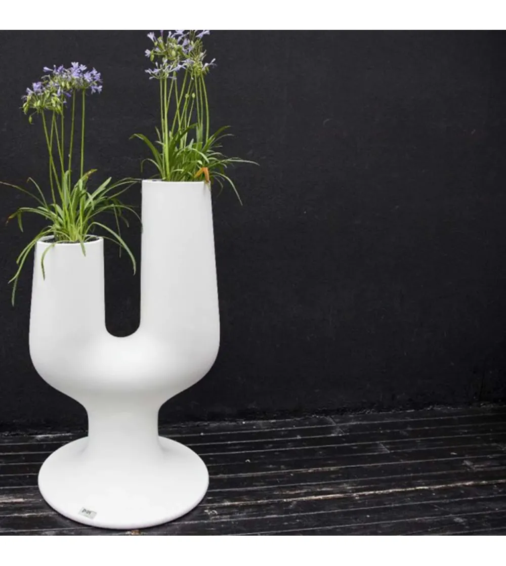 Vaso Cactus - Plust