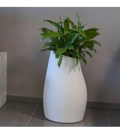 Vase Madame 60 - Plust