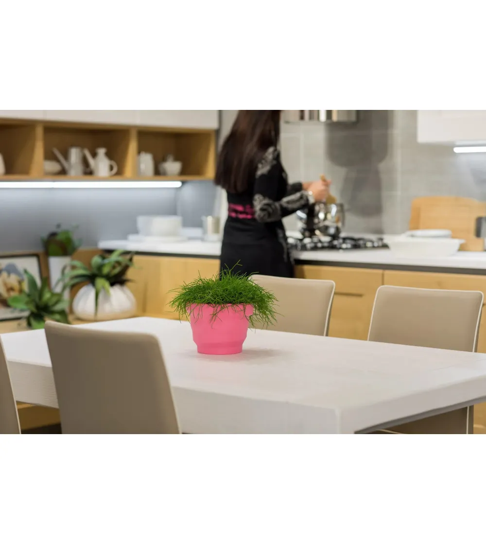 Vase Rebelot Mini - Plust