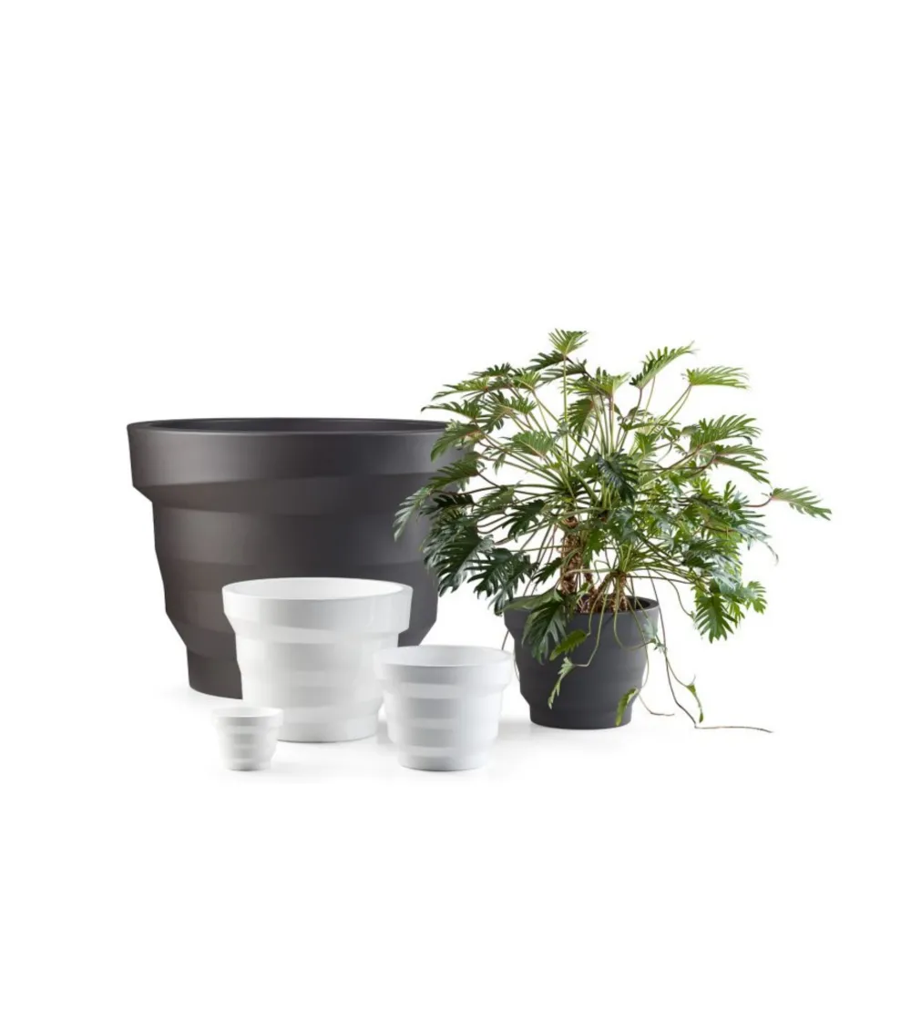 Vase Rebelot Mini - Plust
