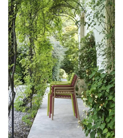 Juego 6 Sillones Doga - Nardi 2