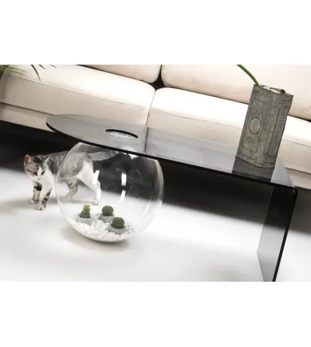 Table Basse Boolla Fumé - Iplex
