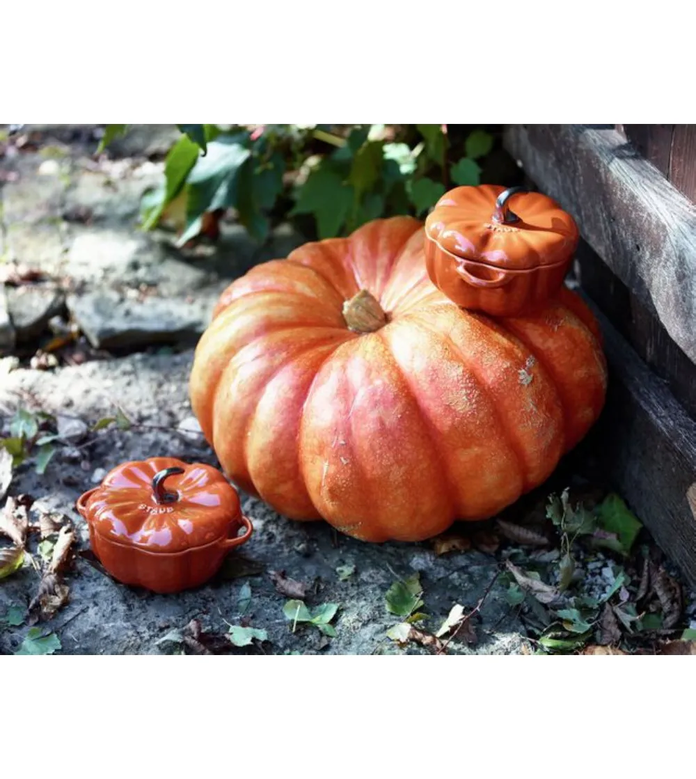 Pumpkin Cocotte - Staub