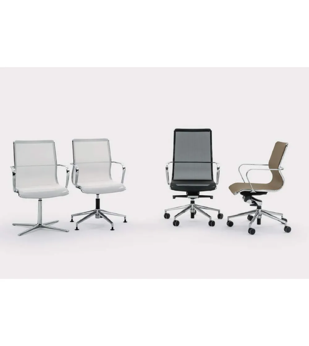 Viganò Office - Omega Executive...