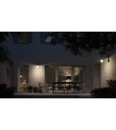 Set 4 Not Out Chairs - True