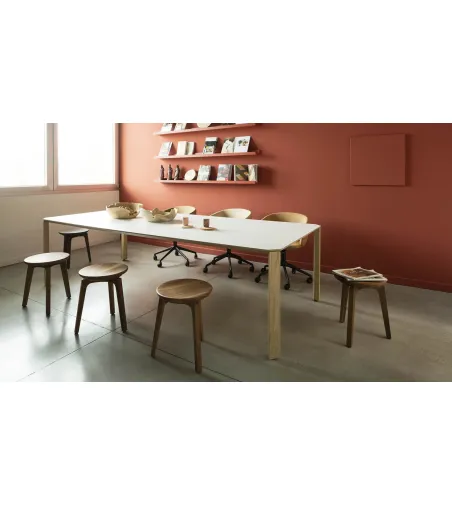 Mesa Ermete ER 280 - True