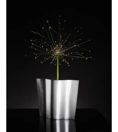 Vase Albatros Satiné Noir - Mesa Design