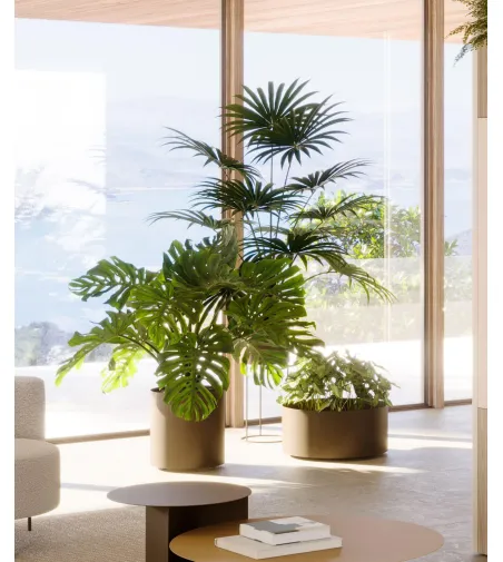 Vaso Glance - Ronda Design