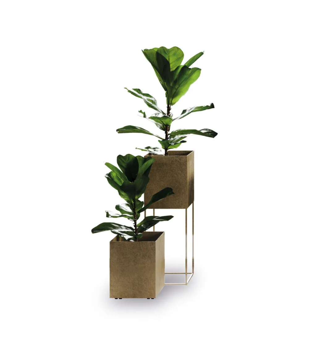 Florero Wink Square - Ronda Design