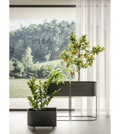 Ronda Design - Round Wink Vase