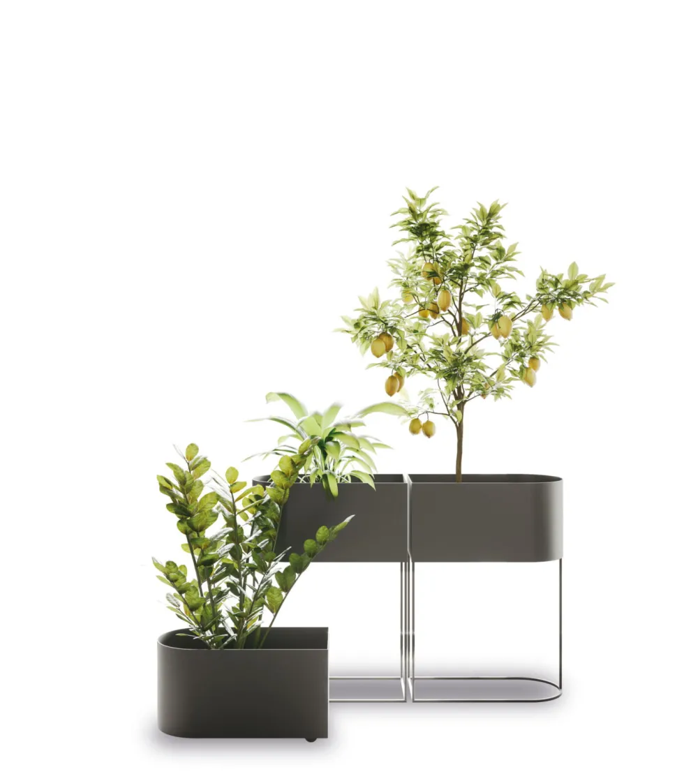 Vaso Wink Round - Ronda Design