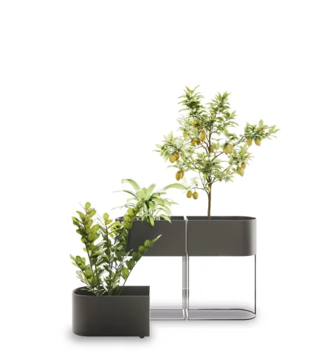 Vaso Wink Round - Ronda Design