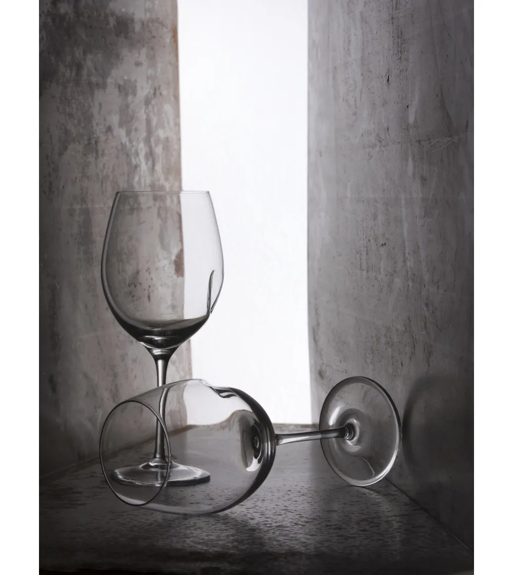 Juego de 2 Copas Técnicas de Vino...
