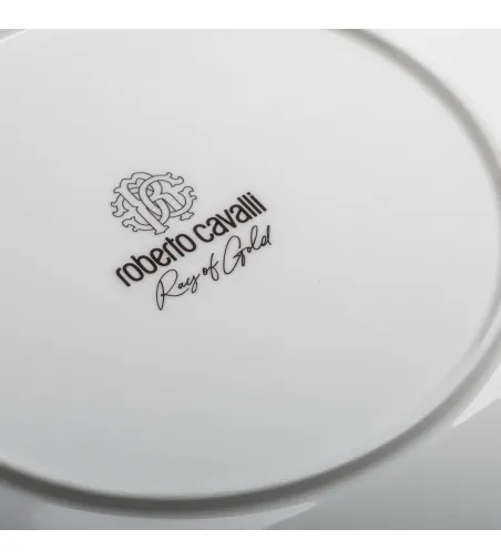 Luxury Box Tazza Ray of Gold - Roberto Cavalli