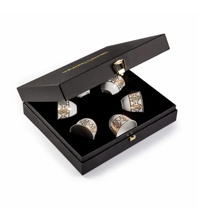 Luxury Box con 6 Tazze Arabe Monogram Gold - Roberto Cavalli