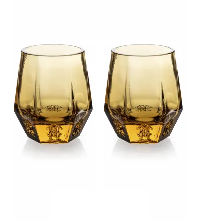 Roberto Cavalli - Set of 2 Desert Rose Amber Water Glasses 2