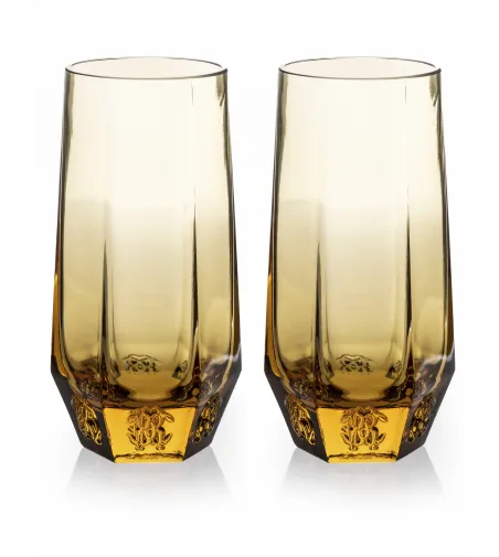 Juego de 2 Vasos de Champán Desert Rose Ambar - Roberto Cavalli