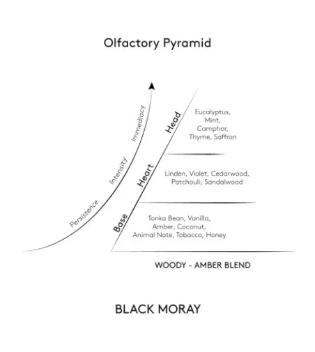 Vela Perfumada Black Moray - Roberto Cavalli