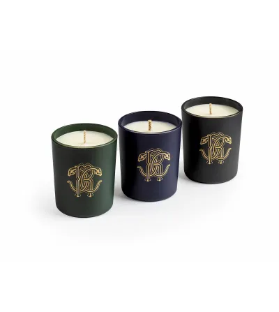 Lot de 3 Bougies Parfumées Gold Jungle - Roberto Cavalli 2