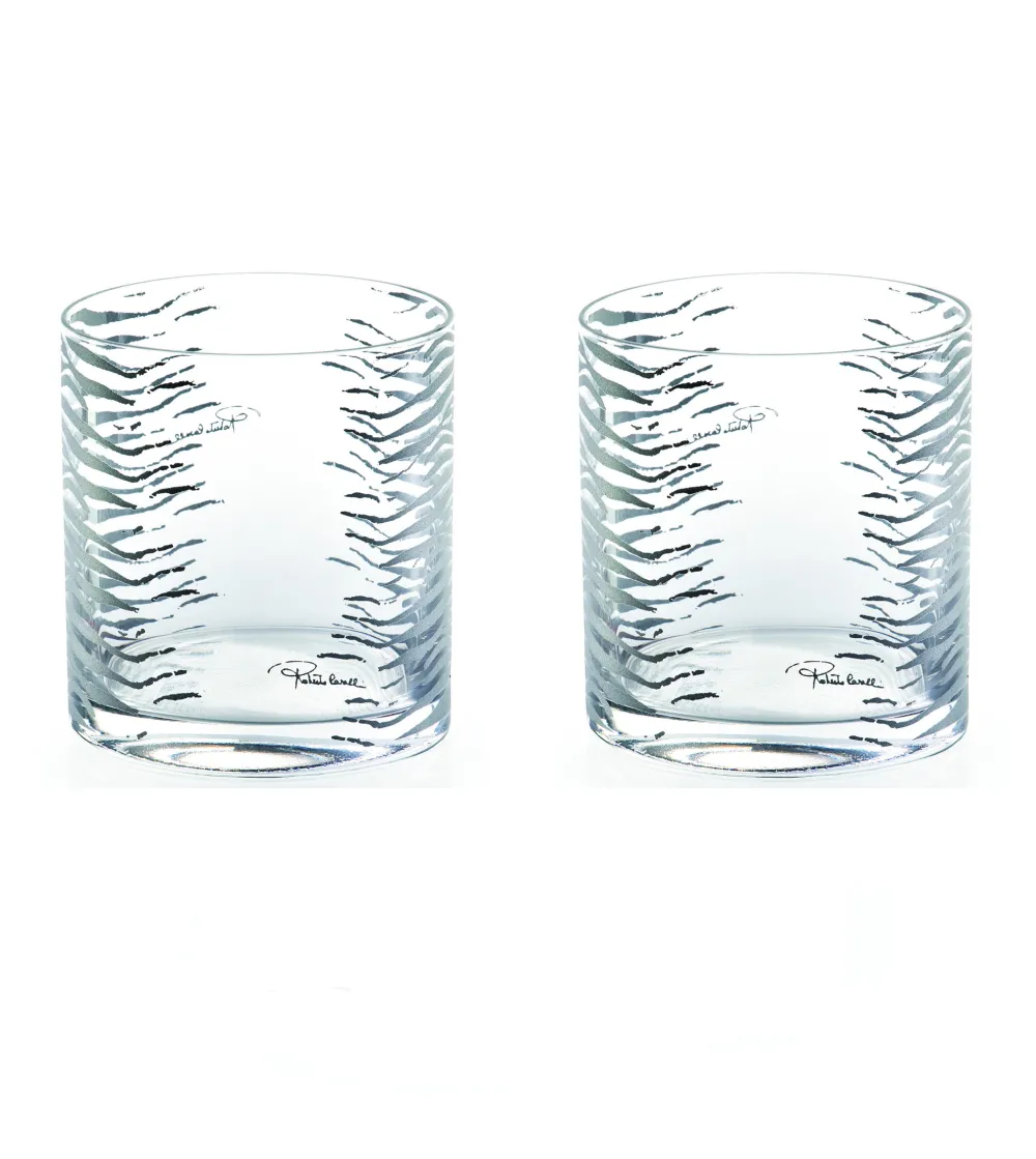 Lot de 2 Verres Old Fashion Zebra...