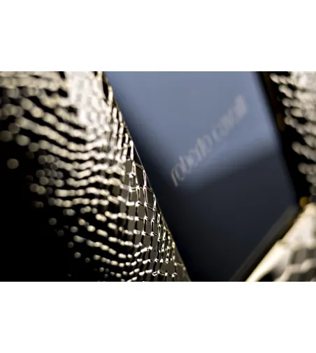 Roberto Cavalli - Python Gold Large Picture Frame