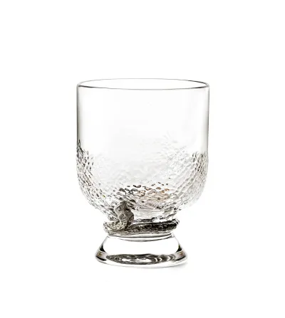 Set 2 Bicchieri Acqua Python Platin - Roberto Cavalli
