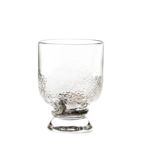 Lot de 2 Verres à Eau Python Platin - Roberto Cavalli