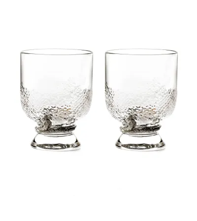 Lot de 2 Verres à Eau Python Platin - Roberto Cavalli 2