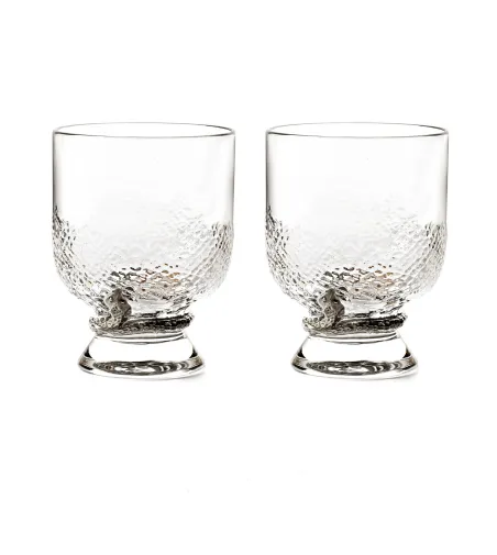 Lot de 2 Verres à Eau Python Platin - Roberto Cavalli