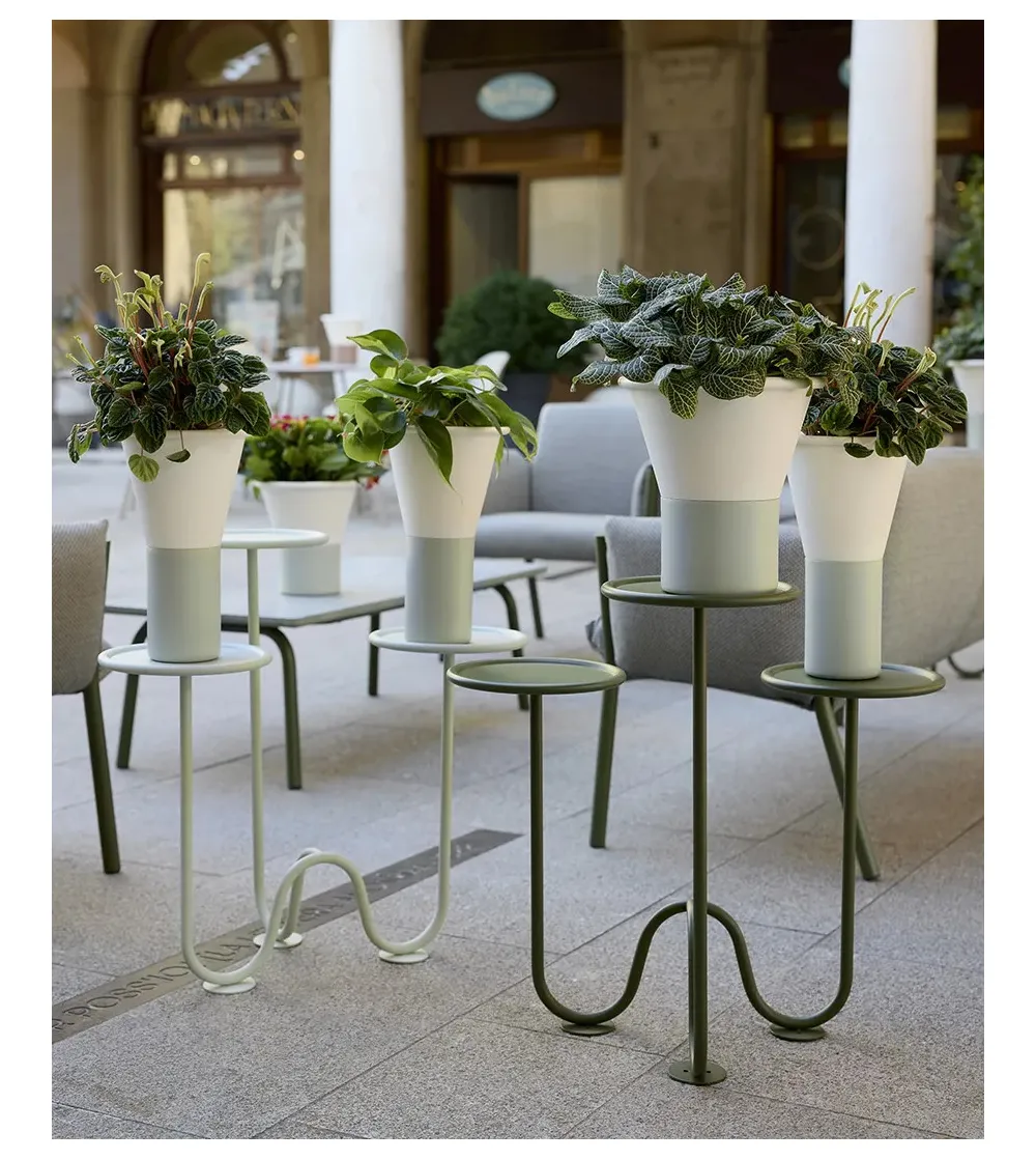 Support pour Plantes au Sol Mimosa -...