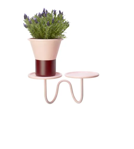 Support Mural pour Plantes Mimosa - SCAB