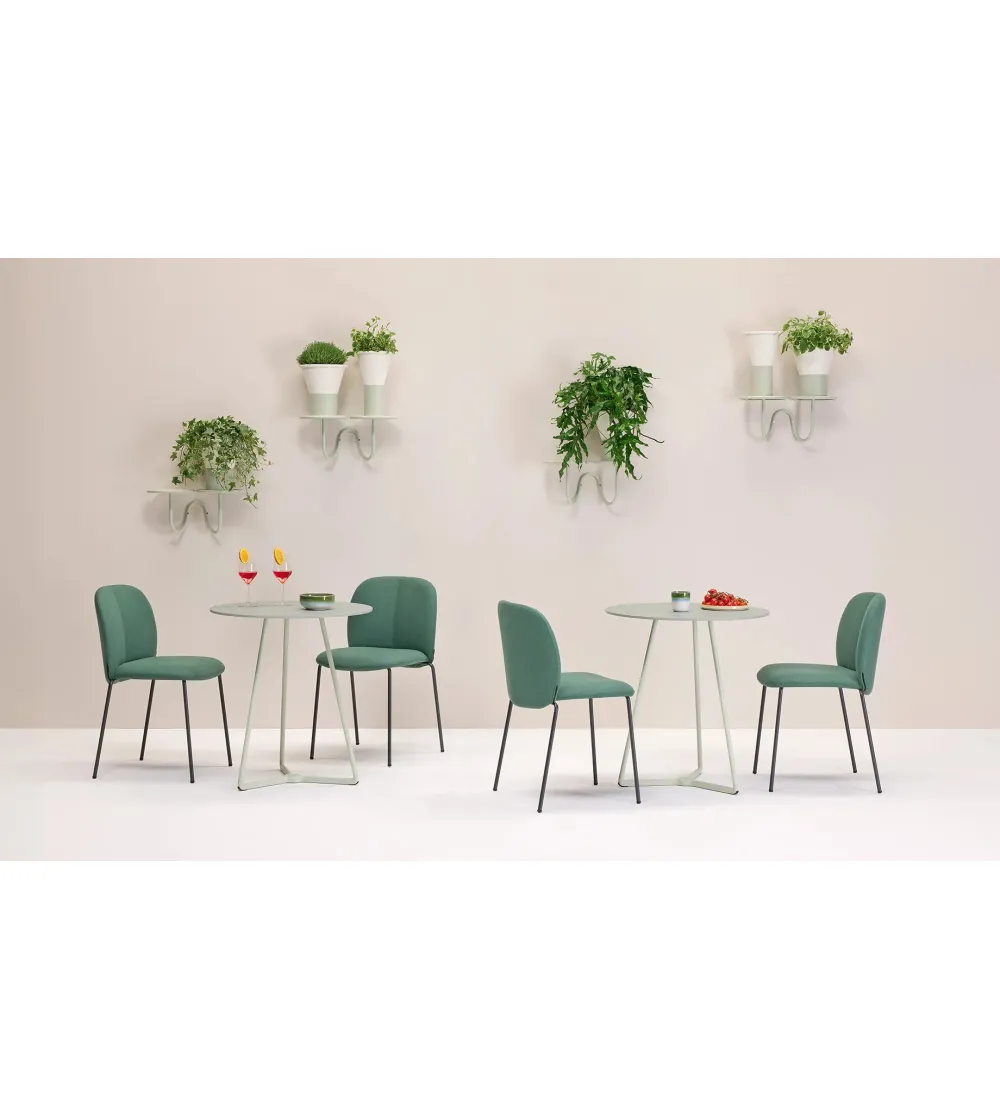 Soporte para Plantas de Pared Mimosa...